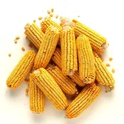 Corn on the Cob