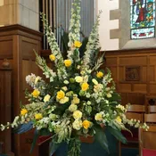 Shades of Yellow  Spray