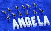 12 Generic Nickel P90 Dogear Pickup Mounting Screws, #GDES