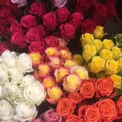 One Dozen Assorted Color Roses in a Vase
