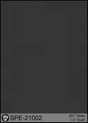 SPE-21002