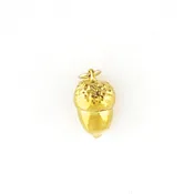 Acorn