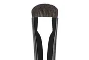 Blender Brush