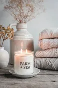Beach Pines Candle - 14 oz