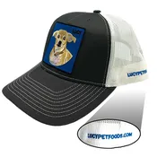 Grey/White Trucker Hat with Lucy patch and Mesh Backing