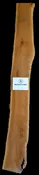 113″ Black Cherry Live Edge Slab [BKCH-SLR-12-0002]