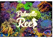 Palmetto Reef Gift Card