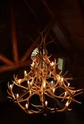 24 Antler, 27 Light Elk Antler Chandelier