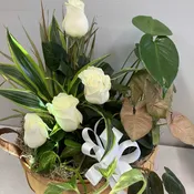 Green Plants with White Roses