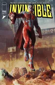 Invincble Reprint / Invincible Returns Bundle