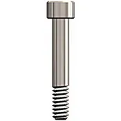 Abutment Screw AS380