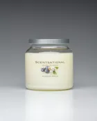 Blueberry Vanilla - 19oz Scented Candle