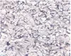 6. DECORATIVE FLOOR PAINT FLAKES