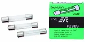 10A Fuse STandard 250V
