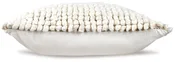 Aavie Pillow (Set of 4)