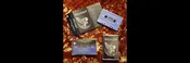 Wisteria Cassette Demo
