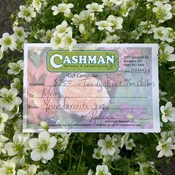 Gift Certificates