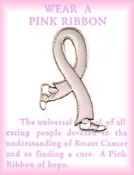Breast Cancer "Walk for Life" Awareness Ribbon Pin
