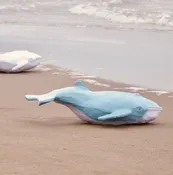 Companion Whale