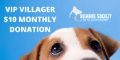 VIP Villager: $10 Donation