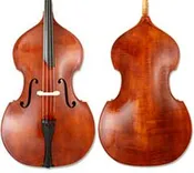 Anton Krutz Bass - Gamba