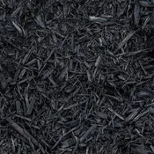 Black Dyed