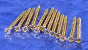 12 Generic Gold Humbucking Bridge Pickup Ring Mounting Wood Screws .703", #GGHR