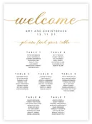 Seating Chart - Script 11