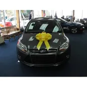 22 Inch Car Bow - Magnetic Base or Suction Cup