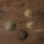 Custom Eco-Lawn Blend