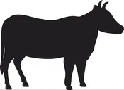 Just Cat Beef