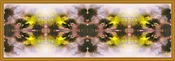 Monarch Dust