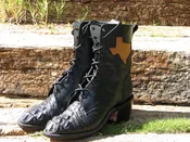 Caiman Crocodile Hornback Lacer Texas
