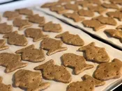 Fresh-Baked Low Fat Fishies (Peanut Butter) Treats for Dogs — Spike's Treats