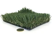 Diamond Pro Fescue (75oz)