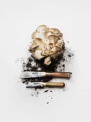 Kitchen Knife 1 — CASSARAS