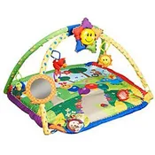 Activity/Play Gym