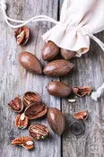 Pecans in Shell Bulk (Raw, Organic, Unpasteurized)