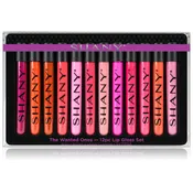 12 Piece Lip Gloss Set with Aloe Vera and Vitamin E