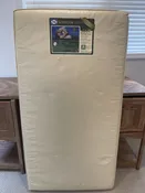 Soybean 5&amp;quot; Hypoallergenic Mattress with pad