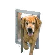 DDV 1015 | 10" x 15" - Dog Vue Kennel Door