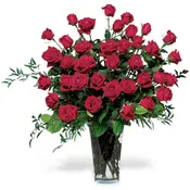 3 Dozen Roses