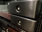 Rogue Audio - Dragon Mono Blocks (Pair) — Stereo Unlimited