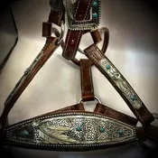 Aniko Halter