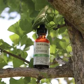 Chi Charge Tincture Blend - 1 oz
