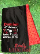 Black Minky Smooth & Red Minky Dot Blanket