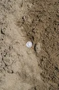 Fill Sand