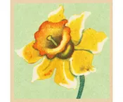 Golden Daffodil Easter Card