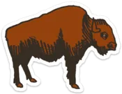 Buffalo Sticker