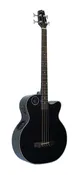 Boulder Creek Guitar, EBR1-B4 Acoustic-Electric Bass